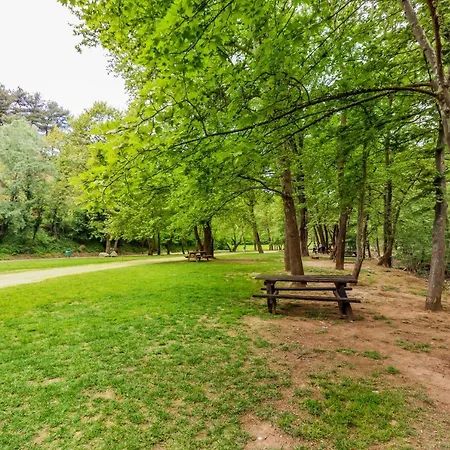 Acropolis With Parking Next To Center *