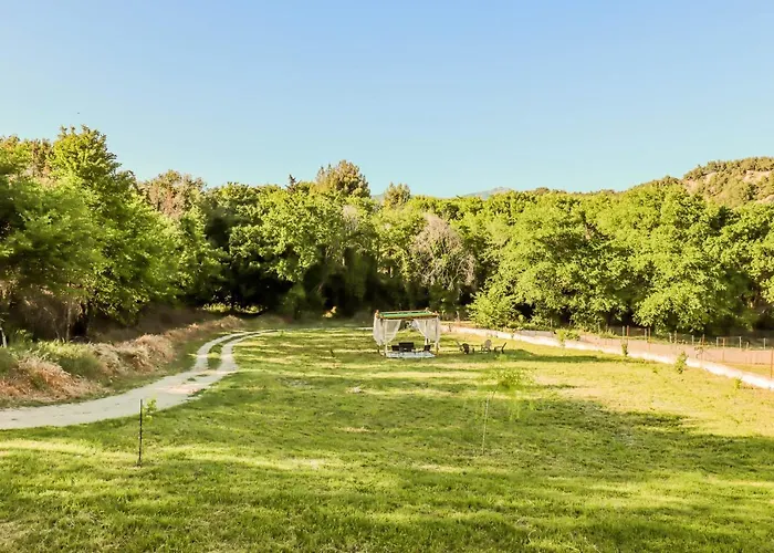 Acropolis With Parking Next To Center