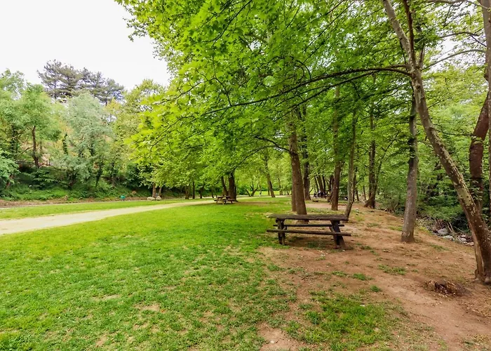 Acropolis With Parking Next To Center *